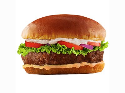 Smokey Burger Sandwich