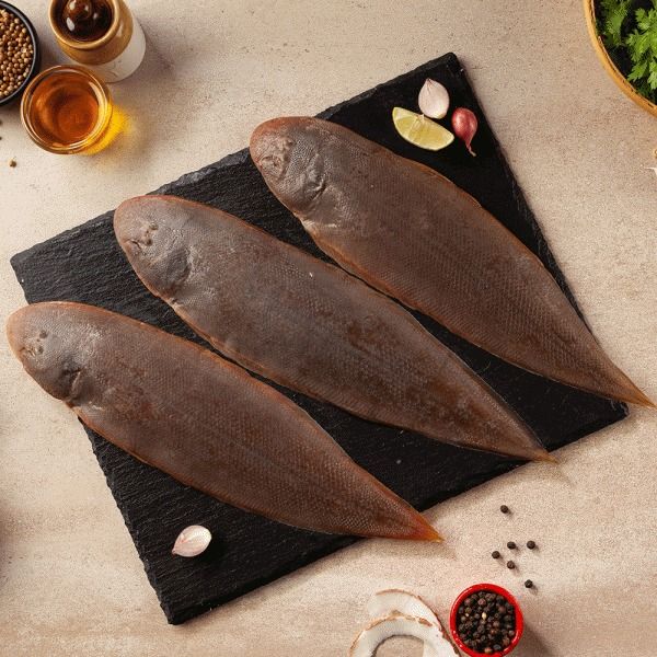Sole fish