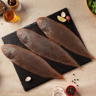 Sole fish