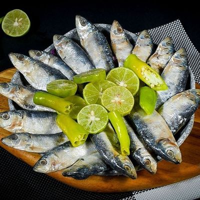 Spanish Mackerel Platter