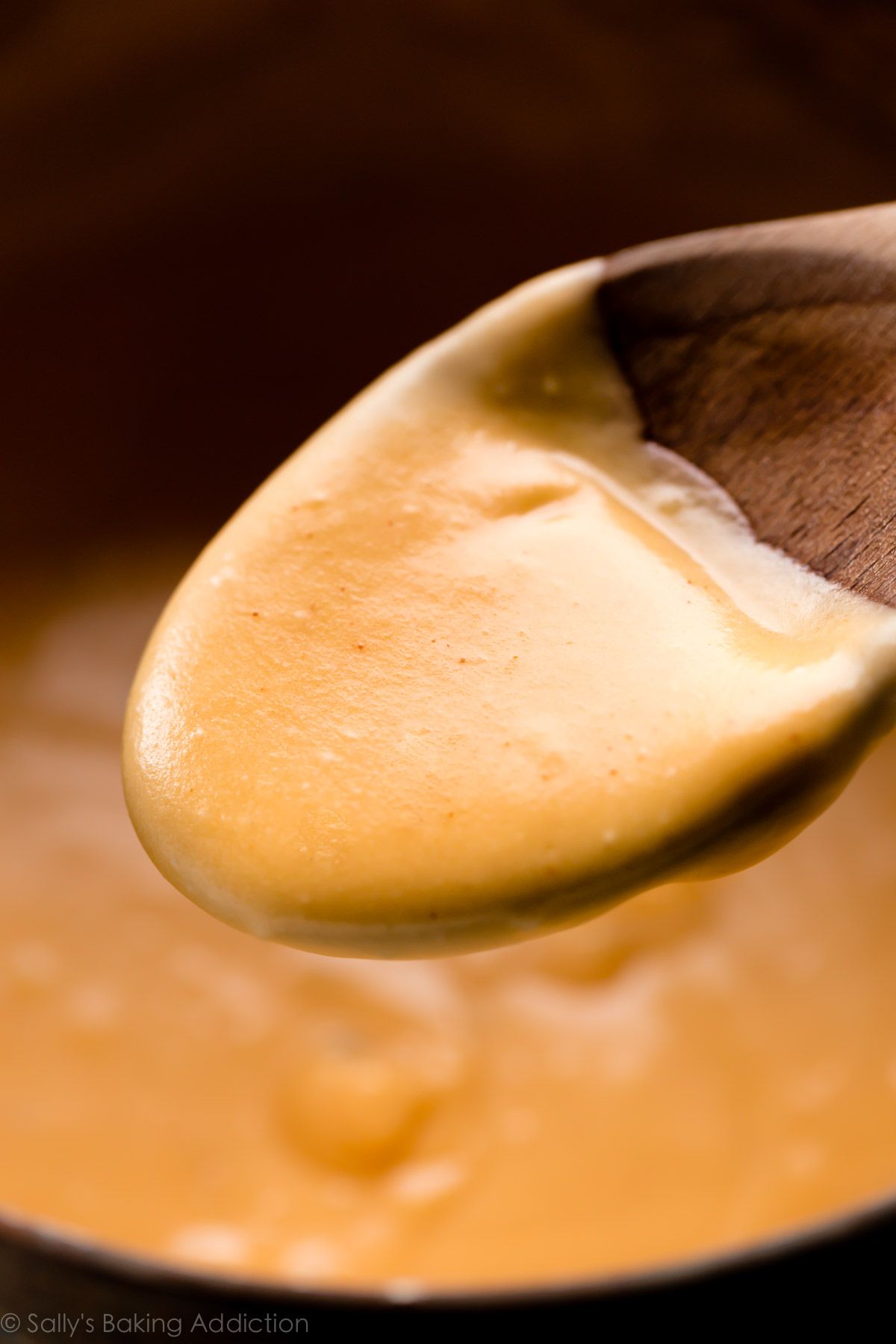 Spicy Mayonnaise Sauce