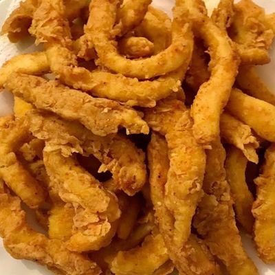 Squid