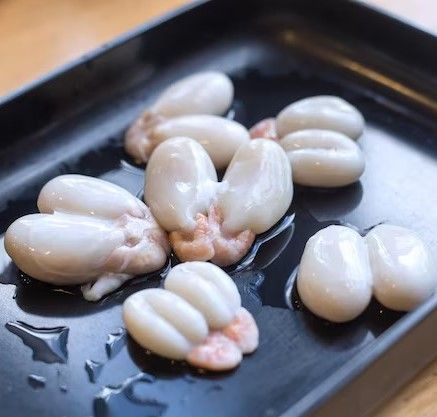Squid eggs
