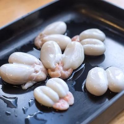 Squid eggs