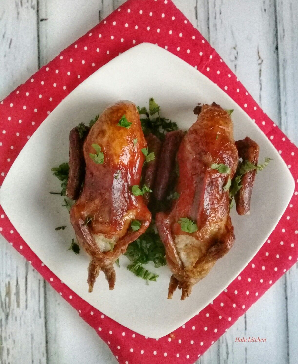 Stuffed Pigeon