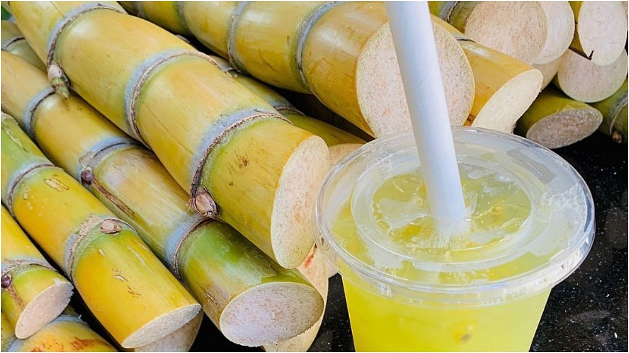Sugarcane