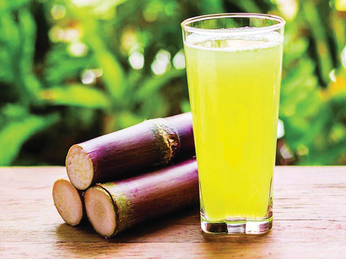Plain Sugar Cane