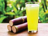 Plain Sugar Cane
