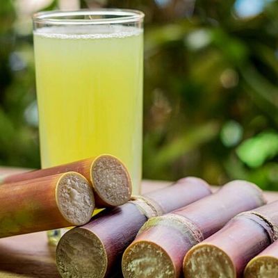 Orange Sugarcane