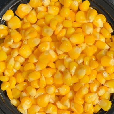 Sweet Corn