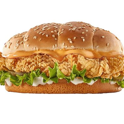 TESTY CHICKEN