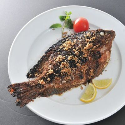 Dr.Seafood photo 8