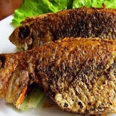 Tilapia