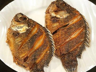 Tilapia Fish