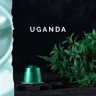 Uganda Capsules
