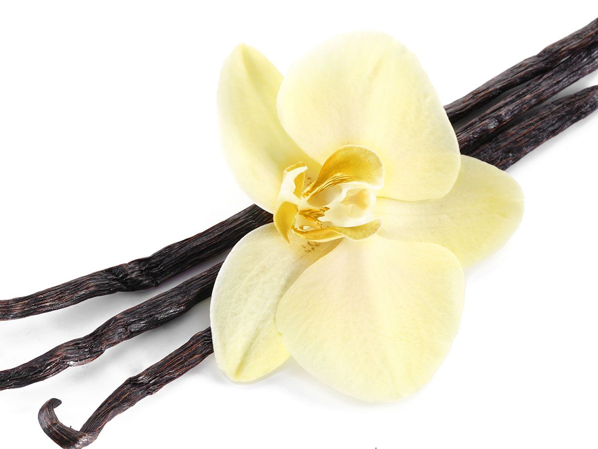 Vanilla Flavour