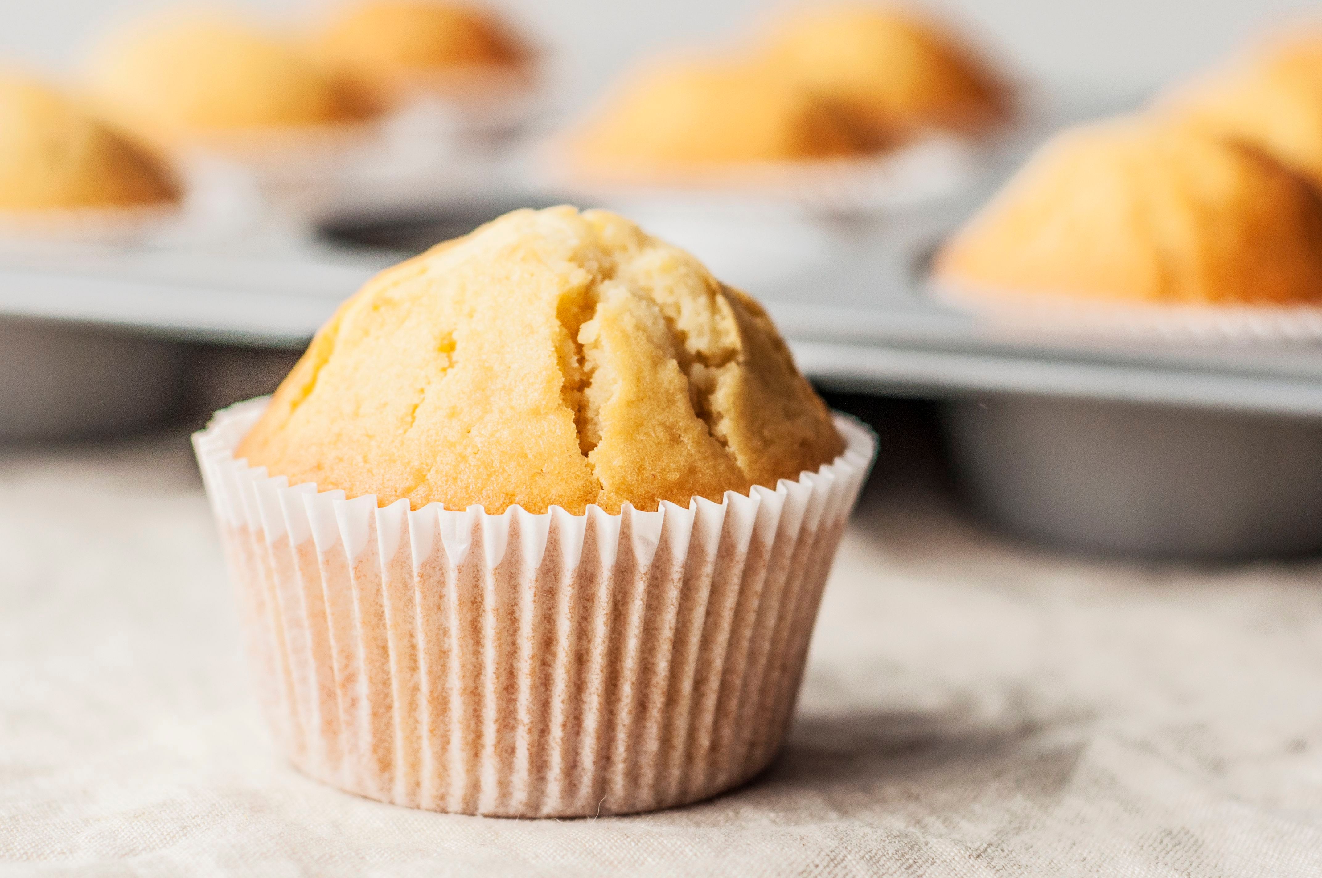 Vanilla Muffin