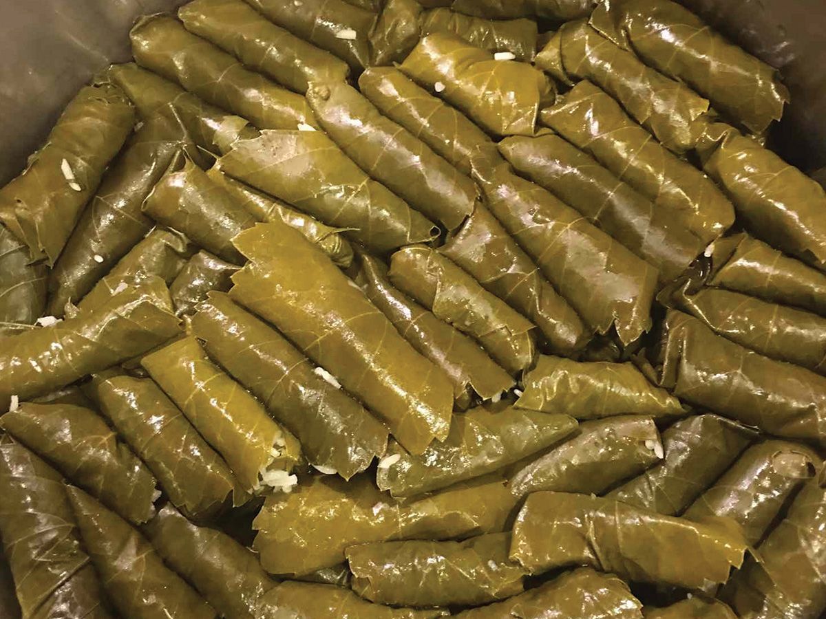 Vine Leaves