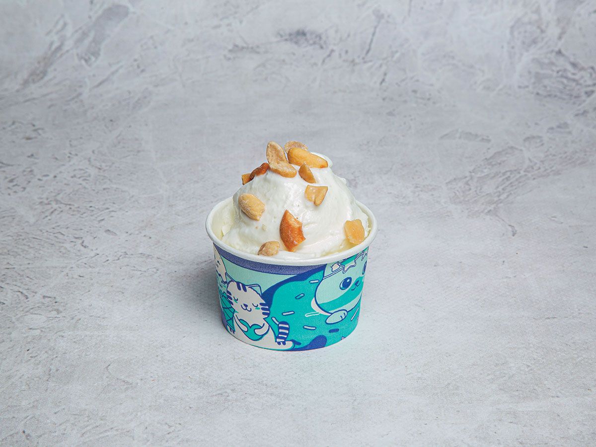 Vanilla Ice Cream With Nuts Scoop
