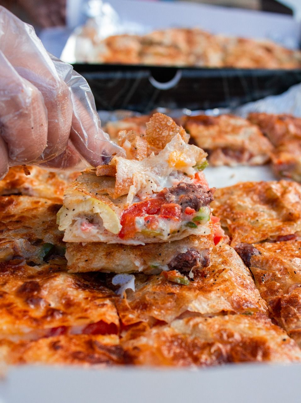Mix Meat pie