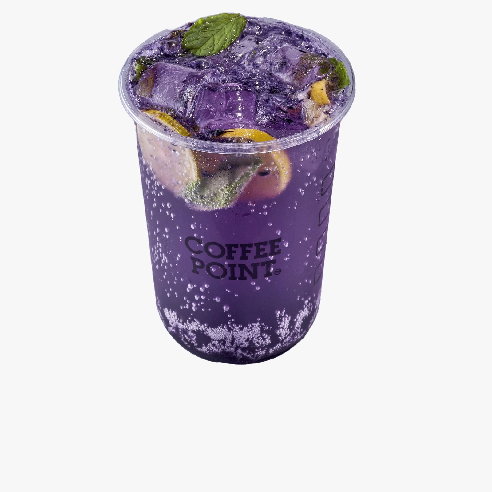 Blueberry Mojito