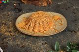 Lotus Molten Cake