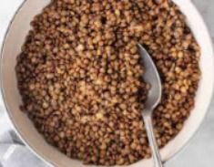 Lentil