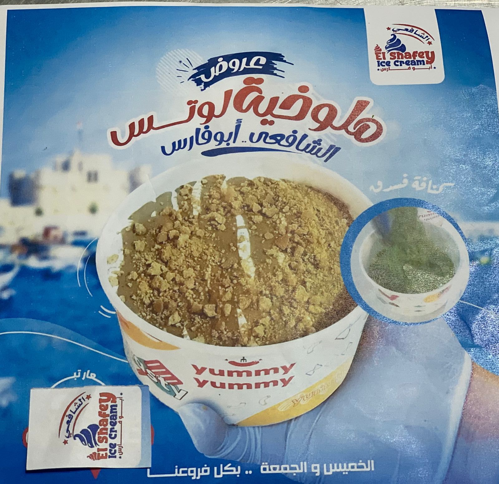 molo5aya Lotus