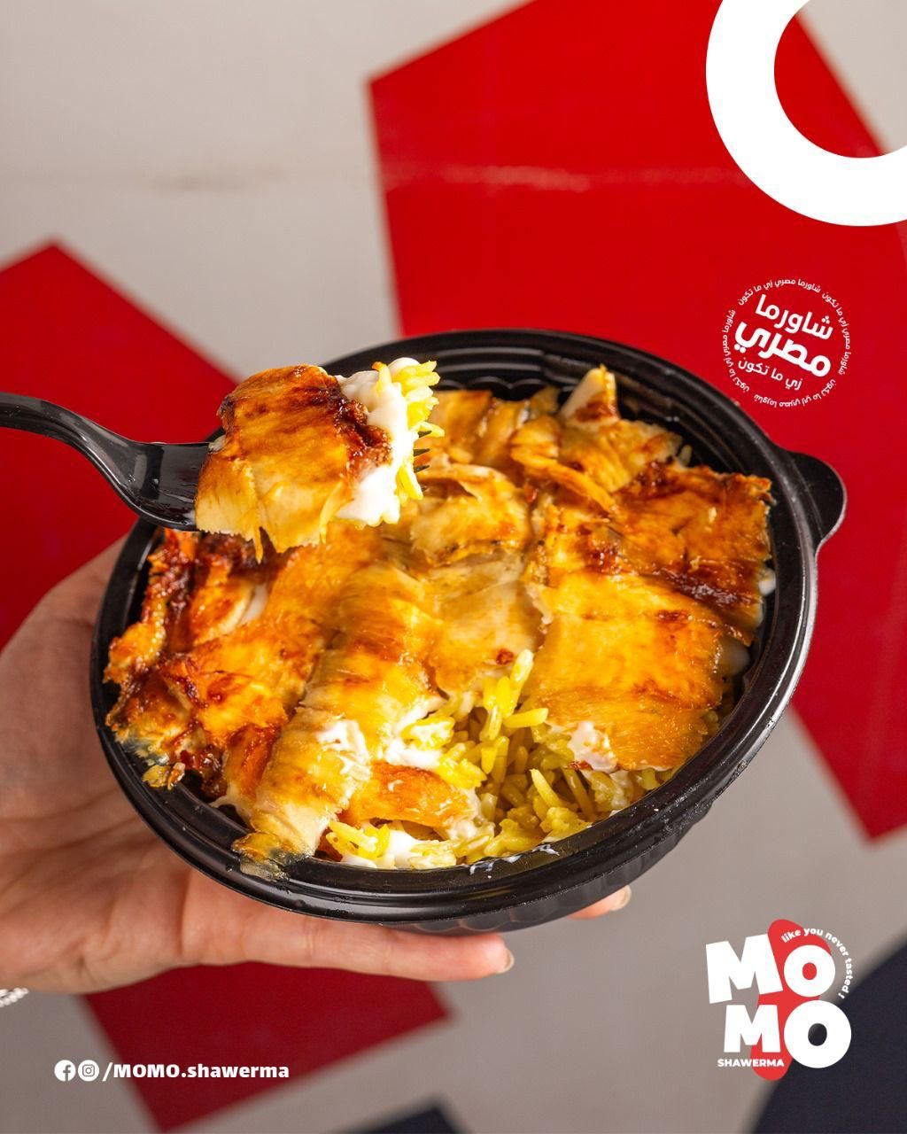 Rizo Chicken Shawerma