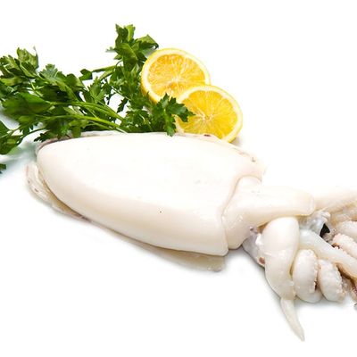 Fresh local squid, raw