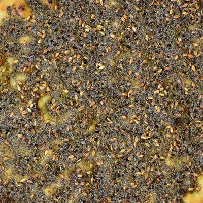 Zaatar