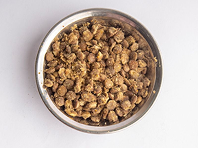 Lentil