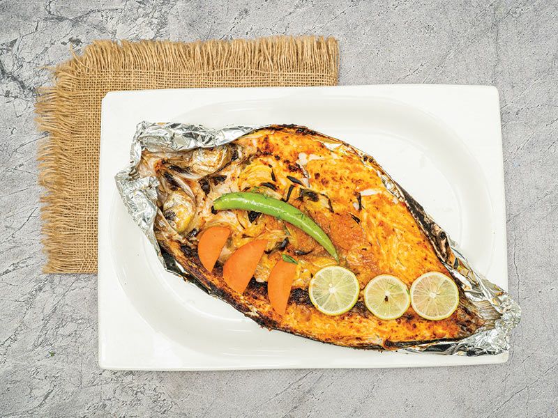 Hamour Fish