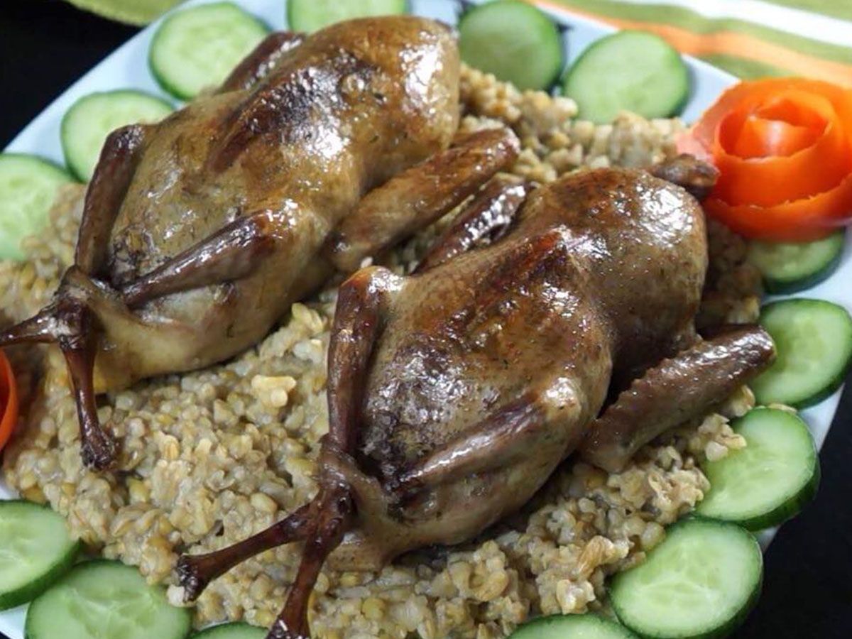 1 Piece Grits Pigeon