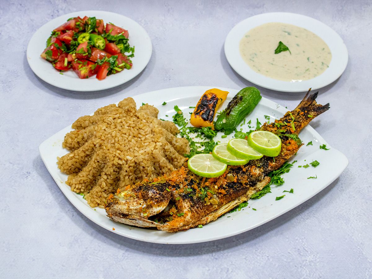 Grey Mullet Fish Meal