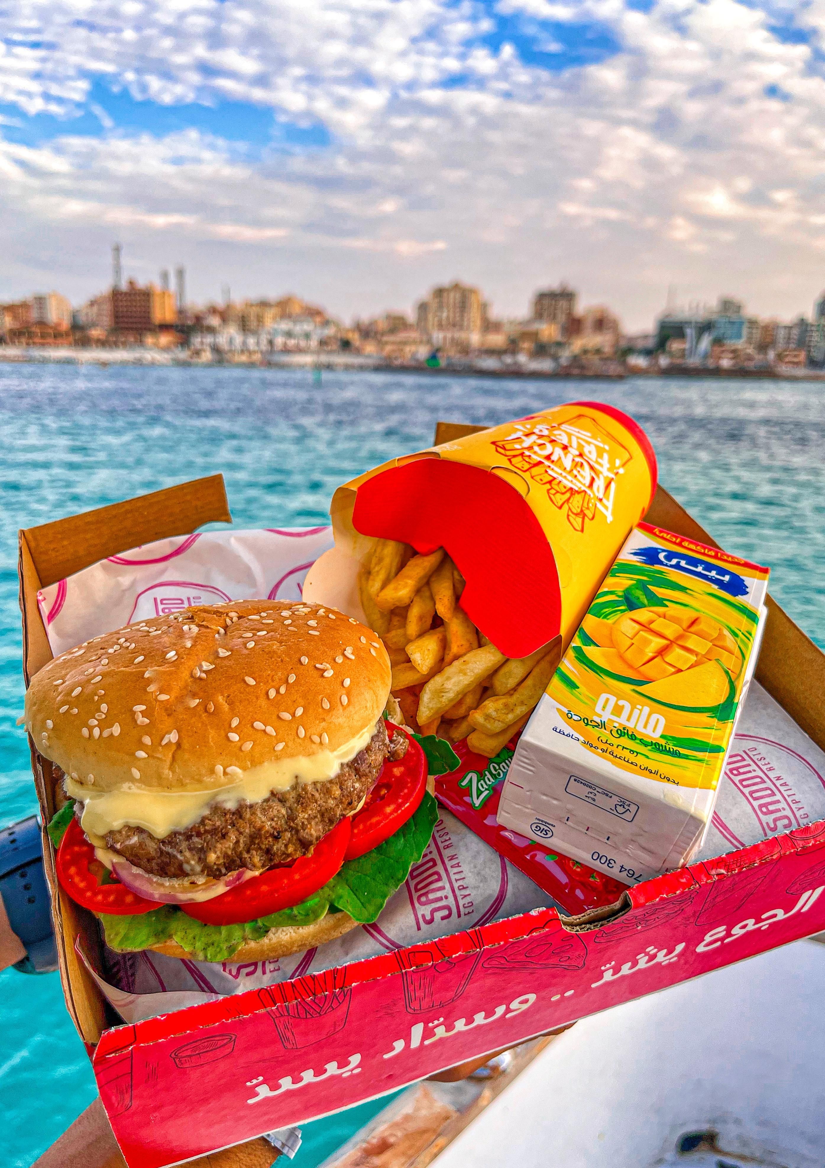 Beef Burger Sandwich