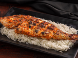 Grey Mullet Fish
