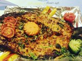 Sea Bass Fish