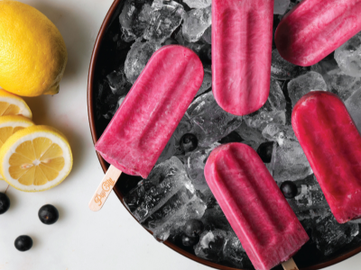 Zesty Blueberry Ice Cream - 100 Cal