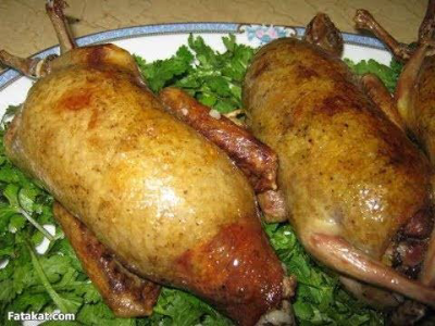 Stuffed Pigeon