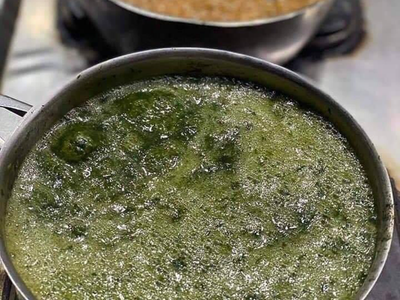 Molokhia Casserole
