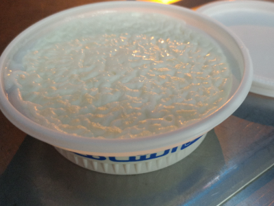 Plain Rice Pudding