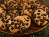 Vanilla Biscuit With Chocolate Pieces Box