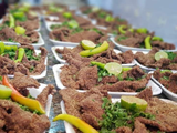 Liver Order