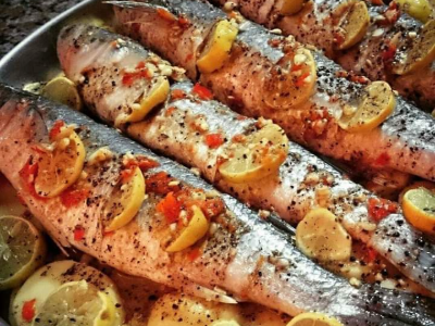 Grey Mullet Fish