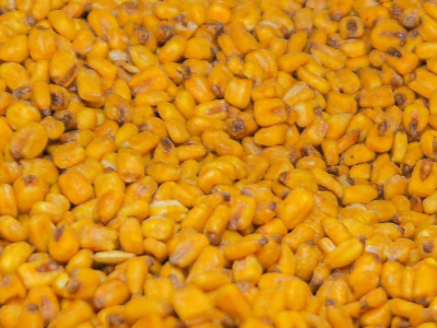 Salted Spanish Corn