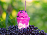 Blueberry Milkshake