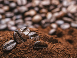 Brazilian Plain Dark Roast Coffee - 200 Gm