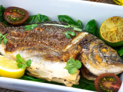 Gilthead Bream Fish
