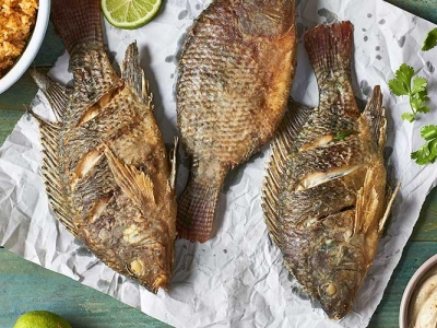 Tilapia Fish